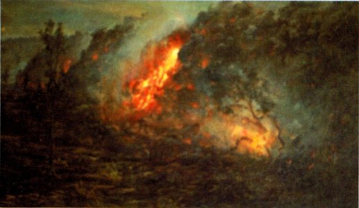 'Lava Flow Burning Trees' by D. Howard Hitchcock, 1897. Free illustration for personal and commercial use.