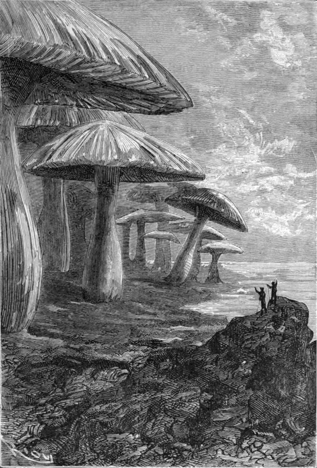 'Journey to the Center of the Earth' by Édouard Riou 38