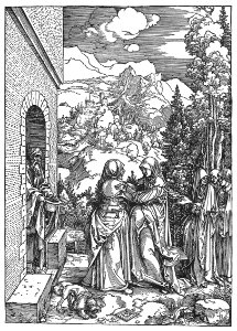 'Life of the Virgin, The Visitation', woodcut by Albrecht Dürer, 1502-4, Honolulu Academy of Arts