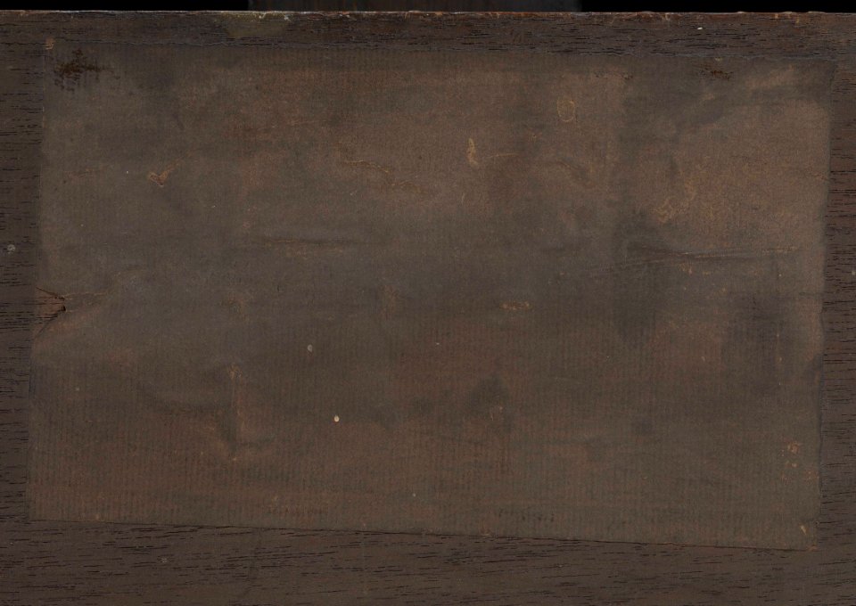 'Portrait of a Large Dog' (Dingo) RMG L6684-014
