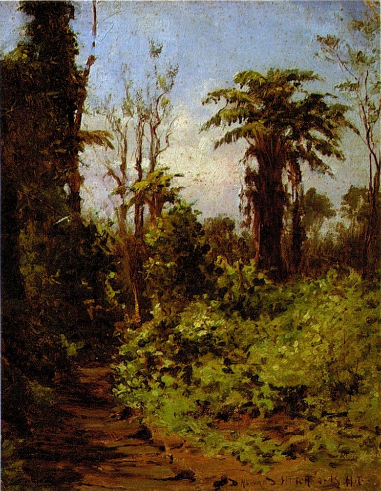 'Path of Pohakuloa' by D. Howard Hitchcock
