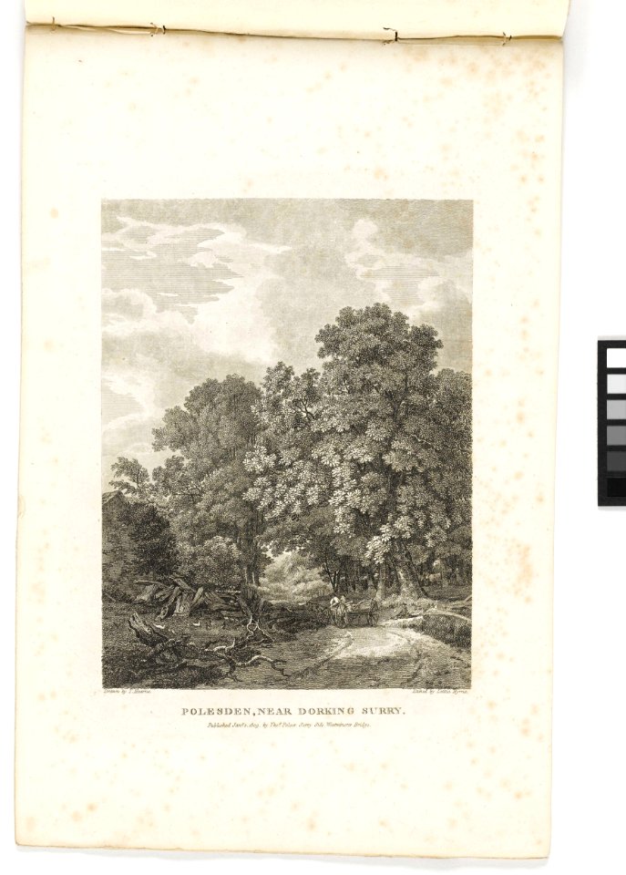 'Polesden, near Dorking, Surry' RMG PY6163