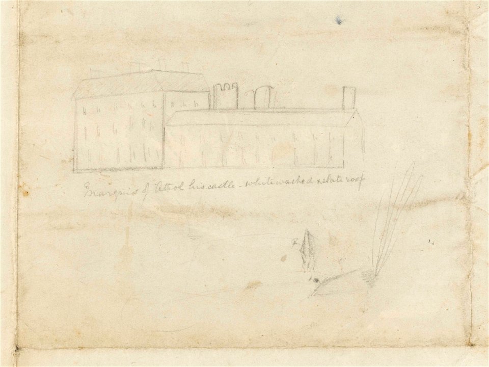'Salmon and Otter' RMG PY6174-003