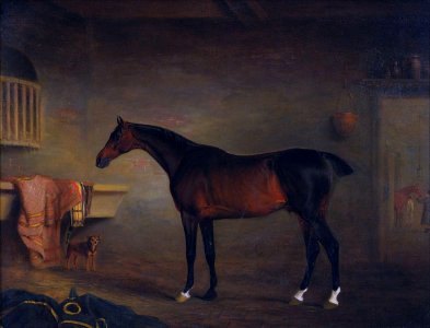 'The Bay Easton in his Stable' by John E. Ferneley, 1810