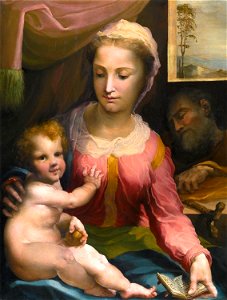 'The Holy Family' by Domenico Beccafumi, oil on poplar