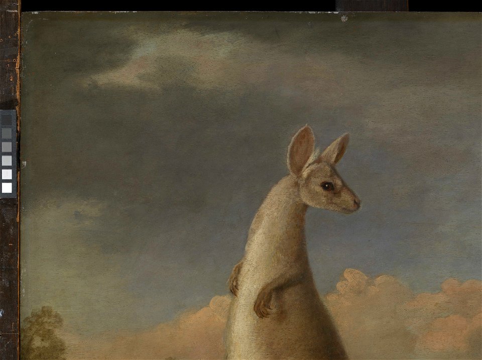 'The Kongouro from New Holland' (Kangaroo) RMG L6685-005