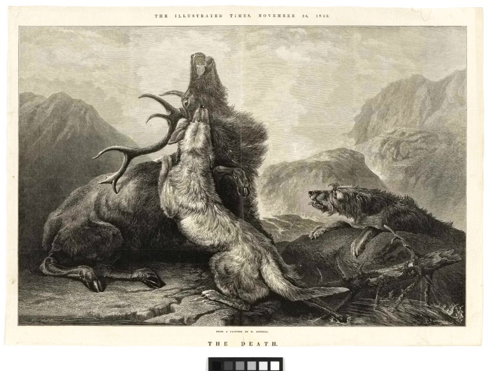 'The Death' RMG PY6173