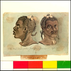 'The Head-dress of the Jolliffes, Gum Coast, Africa' (Bray album) RMG PT2028