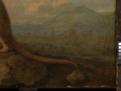'The Kongouro from New Holland' (Kangaroo) RMG L6685-007