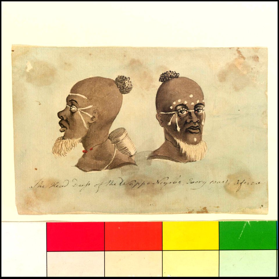 'The Head Dress of the Wappo Negro's, Ivory Coast, Africa' (Bray album) RMG PT2029