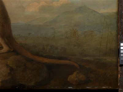 'The Kongouro from New Holland' (Kangaroo) RMG L6685-011