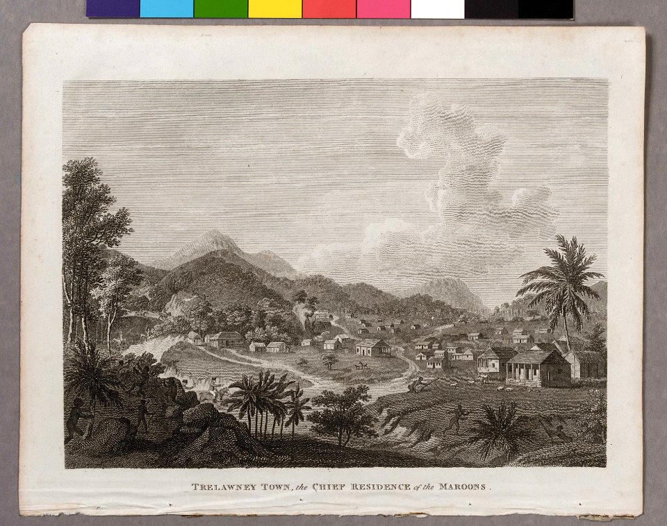 'Trelawney Town, the Chief Residence of the Maroons' RMG E9983