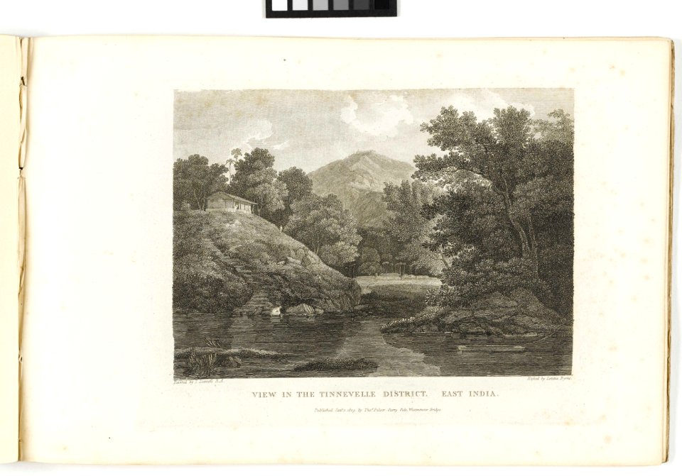 'View in the Tinnevelle District, East India' RMG PY6158