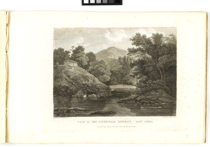 'View in the Tinnevelle District, East India' RMG PY6158