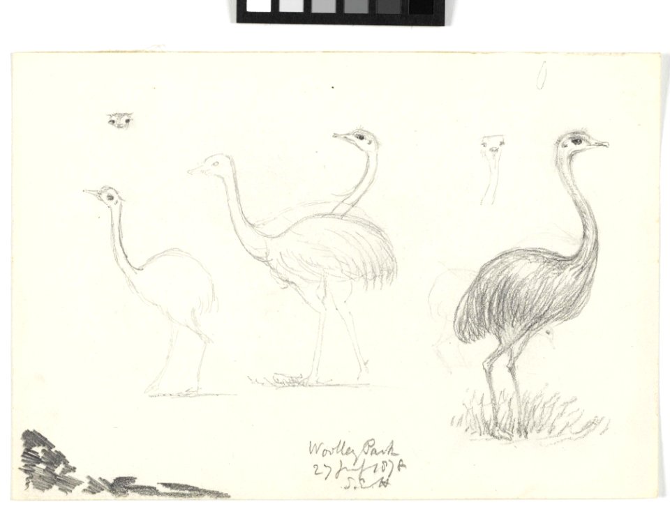 'Wooley Park, 27 July 1878' RMG PY6052