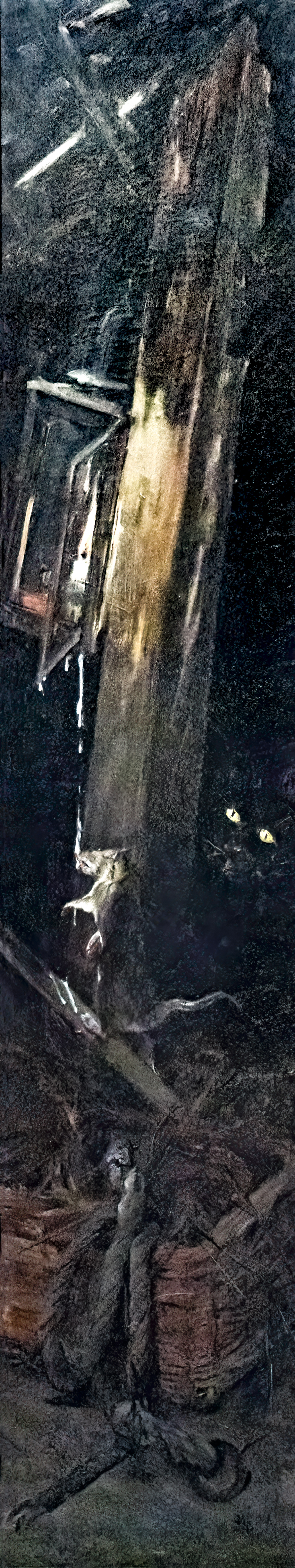 (Albi) Chat noir tuant un rat (1883-1885) Alfred Emile Méry (huile et cire sur toile)