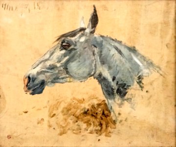 (Albi) Cheval blanc GAZELLE - Toulouse-Lautrec