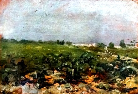 (Albi) Céleyran, Vue des vignes -Toulouse-Lautrec 1880