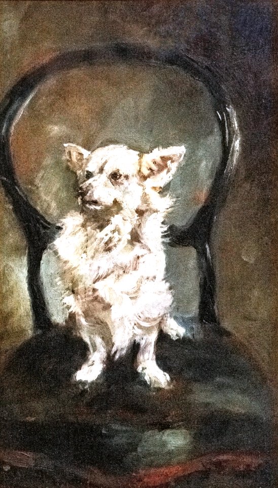 (Albi) Petite chienne blanche - Toulouse-Lautrec 1881 - Musée Toulouse-Lautrec MTL65