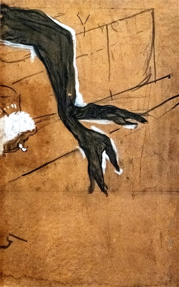 (Albi)Les gants noirs d'Yvette Guilbert 1894 Toulouse-Lautrec - MTL.161