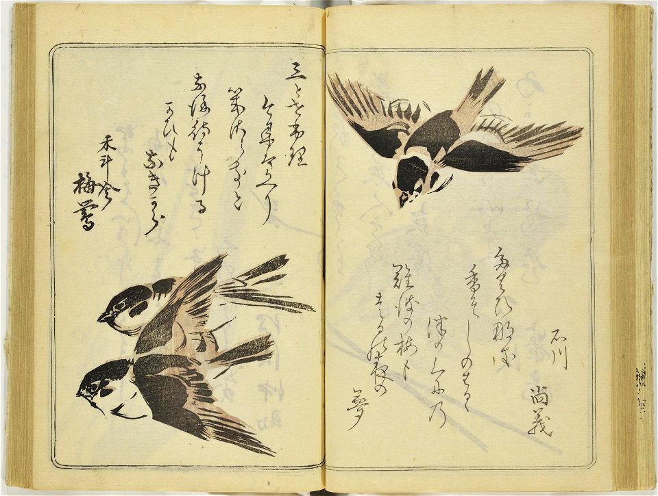 (Kanjaku tsuizen) Hanashi-tori (翫雀追善) はなしとり (BM 1979,0305,0.361.1 13)