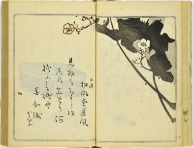 (Kanjaku tsuizen) Hanashi-tori (翫雀追善) はなしとり (BM 1979,0305,0.361.1 20)