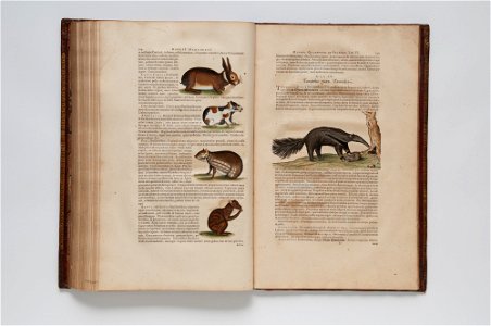 (Ilustrações zoológicas) (20), da Coleção Brasiliana Iconográfica