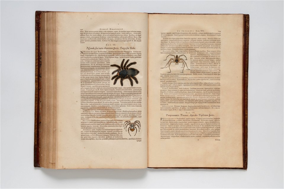 (Ilustrações zoológicas) (21), da Coleção Brasiliana Iconográfica