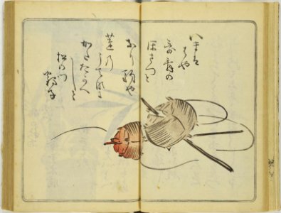 (Kanjaku tsuizen) Hanashi-tori (翫雀追善) はなしとり (BM 1979,0305,0.361.1 43)