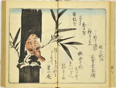 (Kanjaku tsuizen) Hanashi-tori (翫雀追善) はなしとり (BM 1979,0305,0.361.1 65)