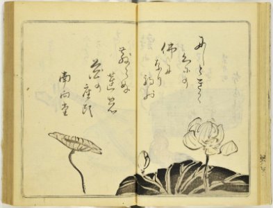 (Kanjaku tsuizen) Hanashi-tori (翫雀追善) はなしとり (BM 1979,0305,0.361.1 22)
