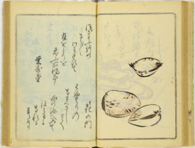 (Kanjaku tsuizen) Hanashi-tori (翫雀追善) はなしとり (BM 1979,0305,0.361.1 1)