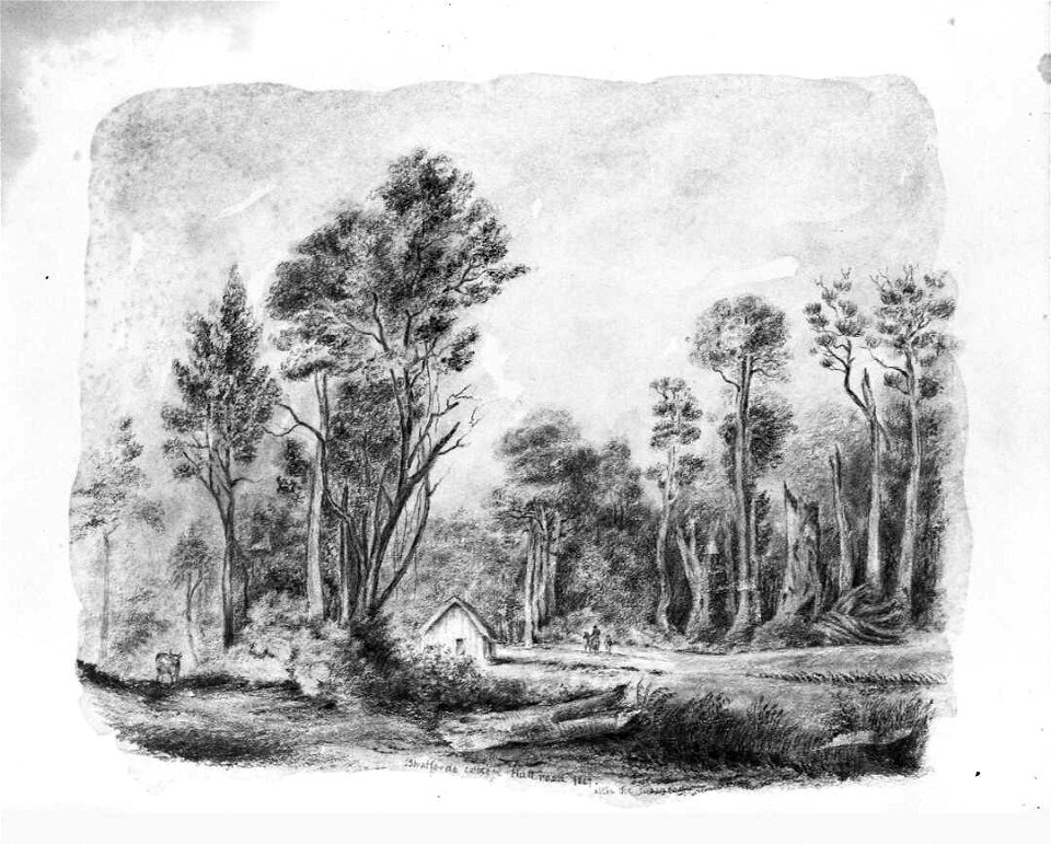 (King, Martha) Stratford's cottage, Hutt Road