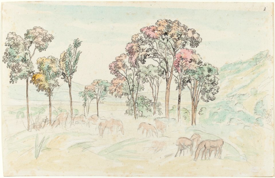 (sem título) (41), da Coleção Brasiliana Iconográfica