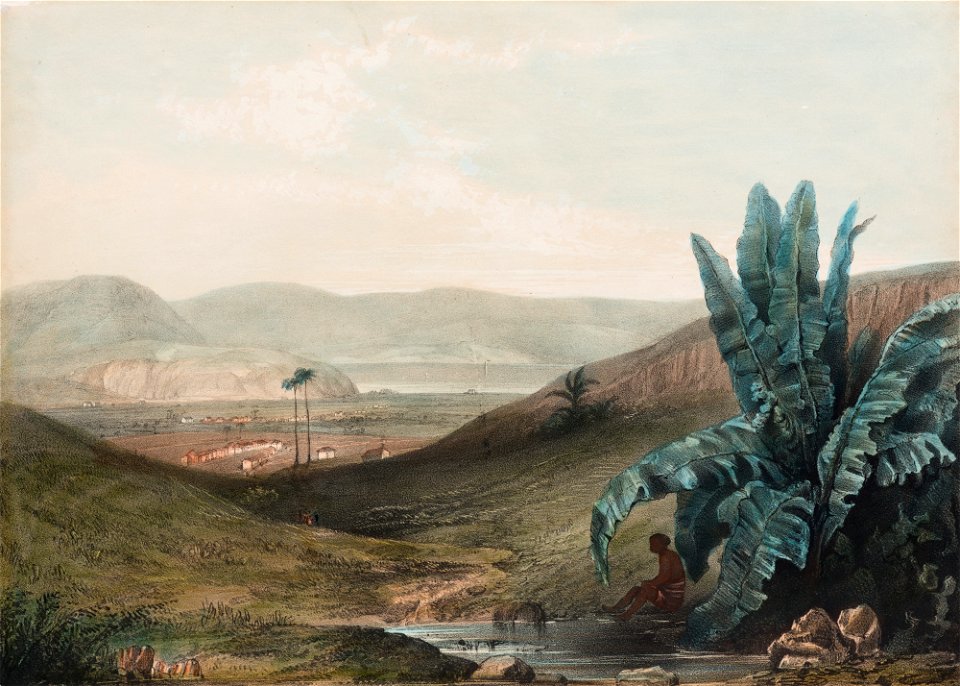 (Sem Título) (22), da Coleção Brasiliana Iconográfica