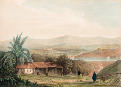 (Sem Título) (51), da Coleção Brasiliana Iconográfica