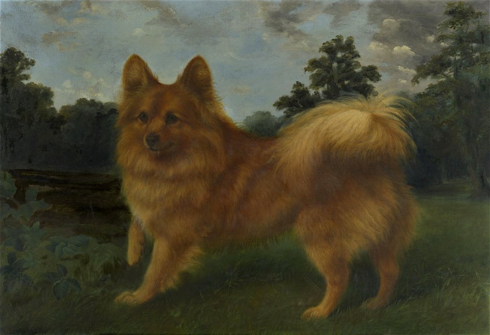 (Robert) Reuben Cole (1850-1919) - Marco - RCIN 403714 - Royal Collection