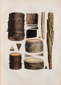 (Sem título) (1), da Coleção Brasiliana Iconográfica
