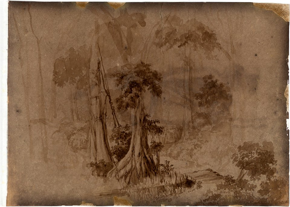 (sem título) (43), da Coleção Brasiliana Iconográfica