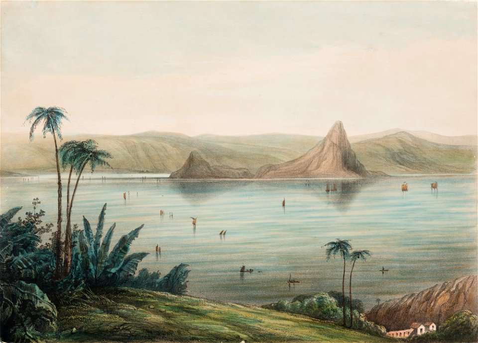(Sem Título) (46), da Coleção Brasiliana Iconográfica