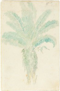 (sem título) (67), da Coleção Brasiliana Iconográfica