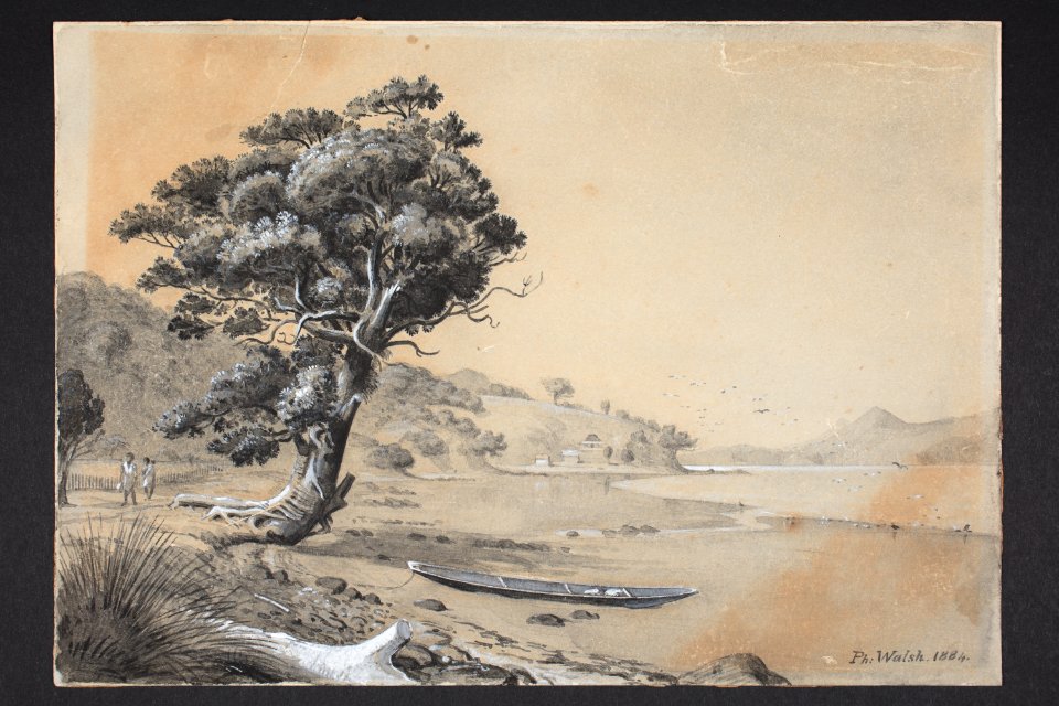 -Beach scene with canoe and Pohutakawa tree- (48752680798)