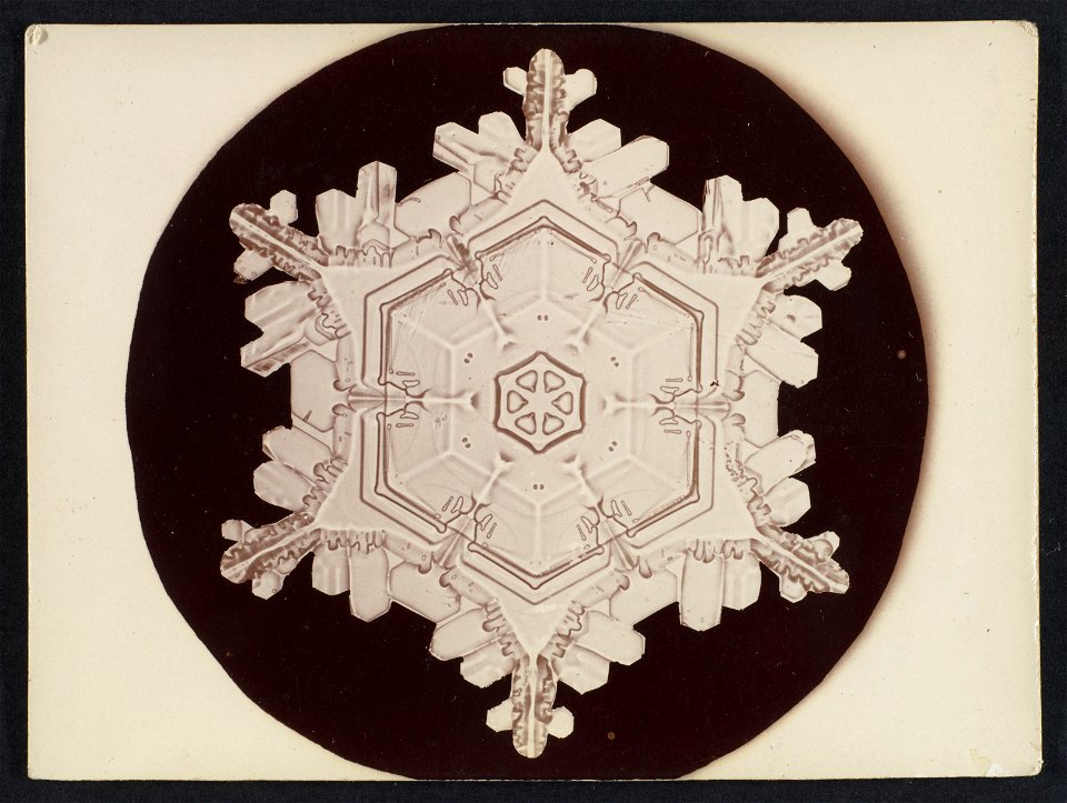-Snow Crystal- MET DP351880