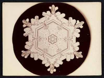 -Snow Crystal- MET DP351880