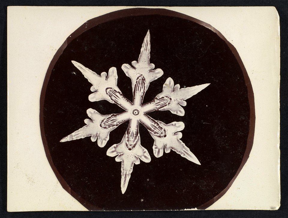-Snow Crystal- MET DP351889