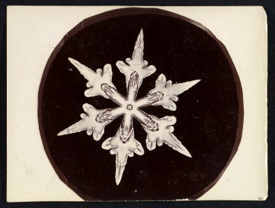 -Snow Crystal- MET DP351889