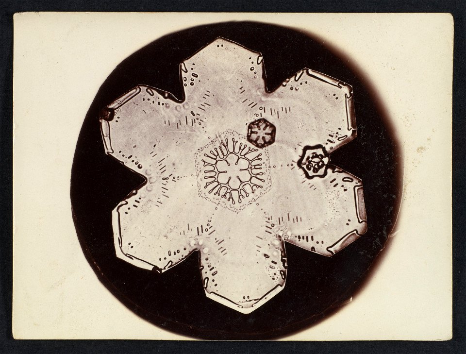 -Snow Crystal- MET DP351905
