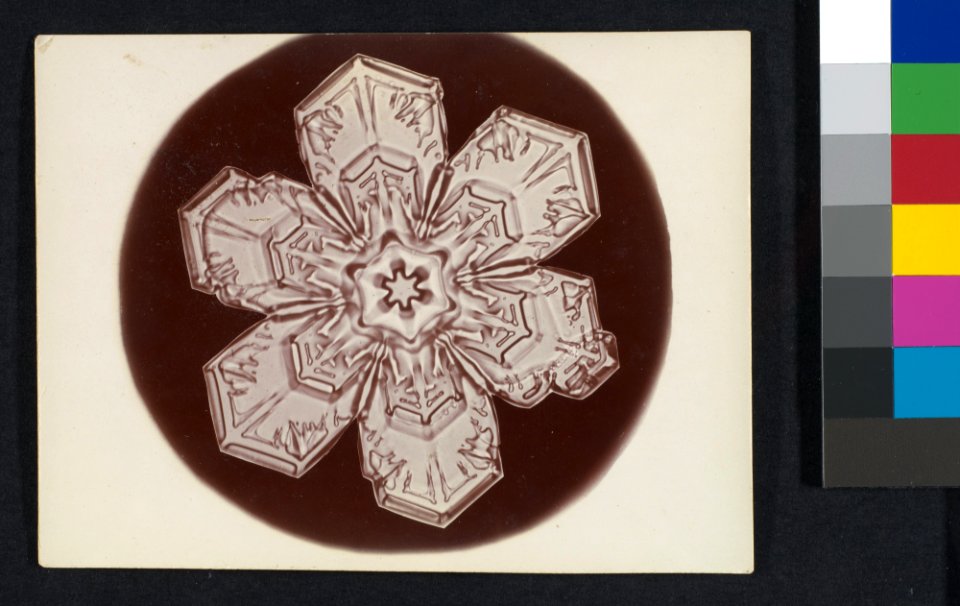 -Snow Crystal- MET DP351921