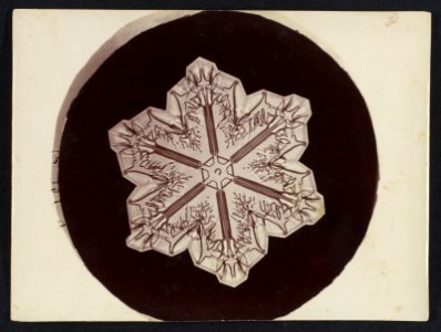-Snow Crystal- MET DP351883