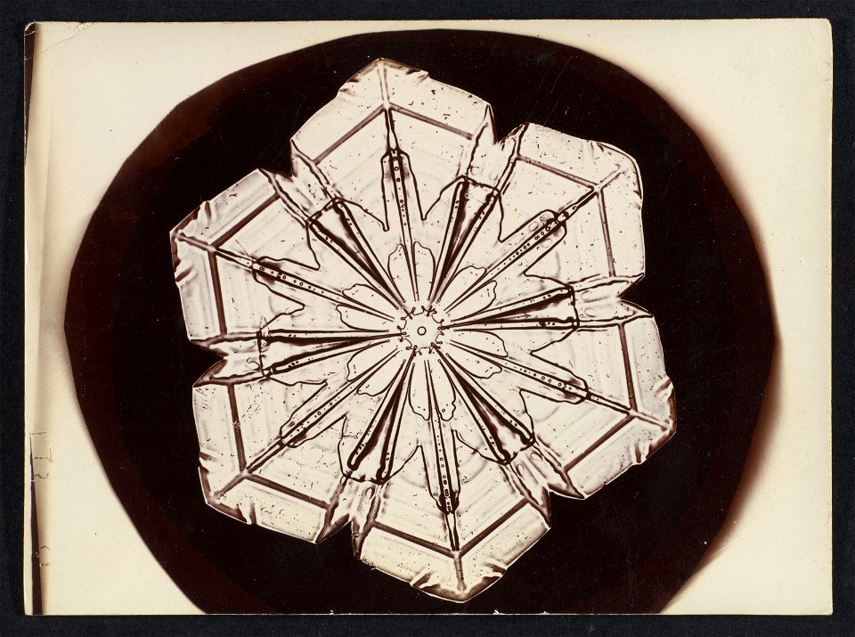 -Snow Crystal- MET DP351900